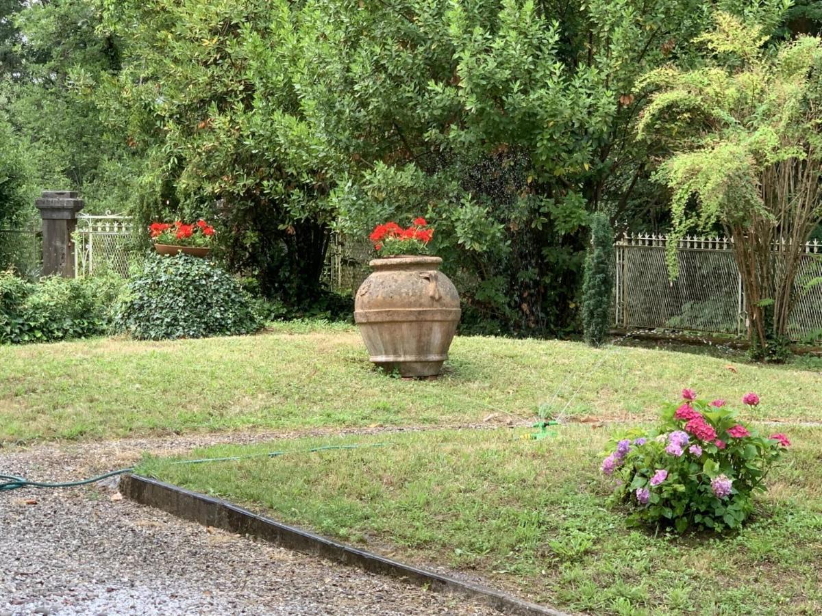 Villa Maria Luisa . Splendida Villa Liberty Lucca Eksteriør bilde
